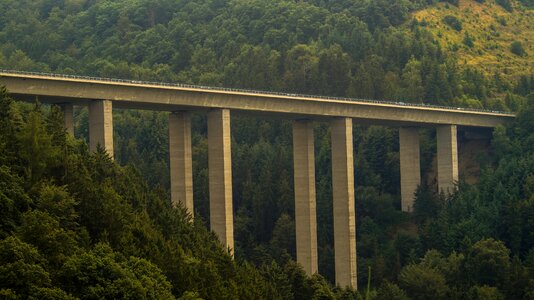 Forest scenic highway
