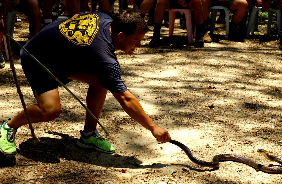 US Navy 050505-F-6335P-109 An U.S Navy Sailor secures a cobra during jungle warfare training in support of Cobra Gold 2005