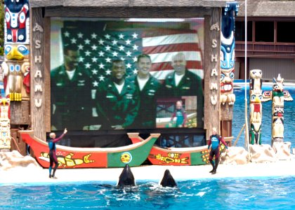 US Navy 050601-N-8233M-001 Sailors aboard the amphibious assault ship USS Bonhomme Richard (LHD 6) wave to their families during a live satellite feed into Shamu Stadium at Sea World