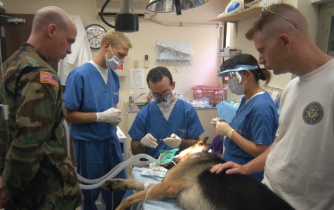 US Navy 050805-N-0168J-006 Military personnel and a Japanese contractor observe U.S. Navy Dentist Lt. Howard Polansky, center, as he measures a needle to see how far it probed into a tooth during an emergency root canal on a mi