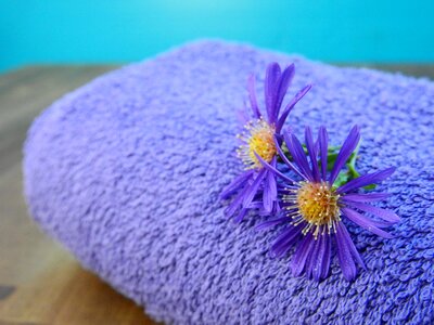 Beauty wellness flowers