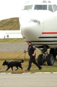 US Navy 050815-F-4201N-092 A member of the Transportation Security Administration (TSA) conducts a security search for unidentified objects during an alert response mission during Alaska Shield-Northern Edge