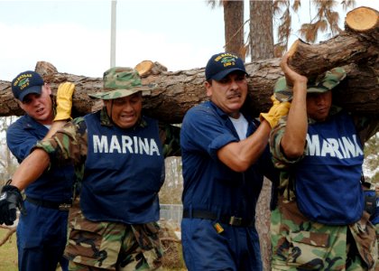 US Navy 050909-N-4374S-008 U.S. Navy Sailors assigned to the amphibious assault ship USS Bataan (LHD 5) and Mexican Marines, carry a log over their shoulders, as they remove debris at D'iberville Elementary School