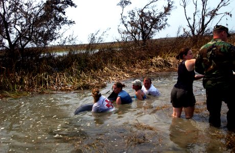 US Navy 050928-C-9767K-244 Volunteers with the Texas Marine Mammal Stranding Network catch a 7-foot, 400-pound dolphin that was stranded in a ditch near South Cameron High School after Hurricane Rita photo