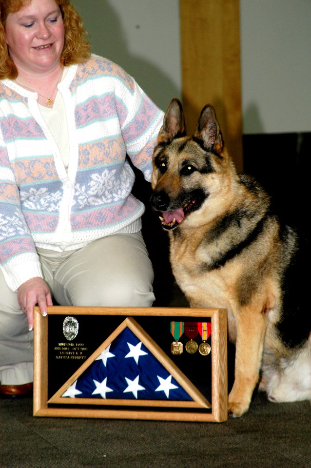 US Navy 051006-N-2115M-028 Military Working Dog Dak sits with his new owner Marka Seacrest while receiving his shadow box at the conclusion of his retirement ceremony