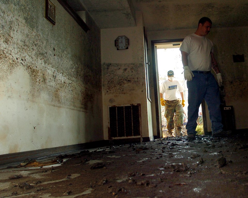 US Navy 051020-N-3729H-030 U.S. Navy Airman Eric Labrecque, assigned to the Nimitz-class aircraft carrier USS John C. Stennis (CVN 74), enters a church in Slidelle, La., during cleanup efforts