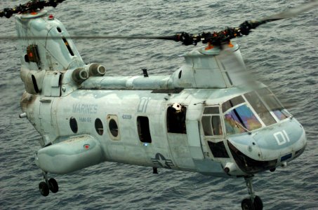 US Navy 051108-N-9866B-106 A U.S. Marine Corps CH-46E Sea Knight helicopter, assigned to Marine Medium Helicopter Squadron One Six Six (HMM-166), prepares to land on the flight deck of the amphibious assault ship USS Peleliu (L