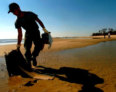 US Navy 051025-N-3729H-065 Electricians Mate 2nd Class Audie Martin, assigned to the Nimitz-class aircraft carrier USS John C. Stennis (CVN 74), gathers debris on a beach in Waveland, Miss