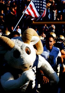 US Navy 051105-N-9693M-003 The U.S. Naval Academy Mascot