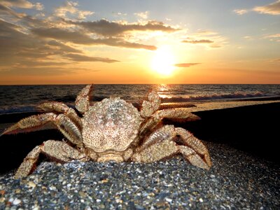 Strigun sea beach photo