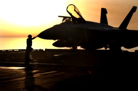 US Navy 060301-N-4776G-070 Aviation Warfare Systems Operator Daniel Williams, assigned to the Eagles of Strike Fighter Squadron One One Five (VFA-115), makes last minute checks on an aircraft