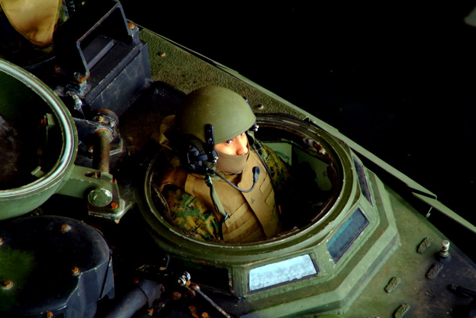 US Navy 060329-N-4772B-137 A Marine from the 31st Marine Expeditionary Unit (MEU) awaits the word to launch his Amphibious Assault Vehicle (AAV) from the well deck of the amphibious dock landing ship USS Harpers Ferry (LSD 49)