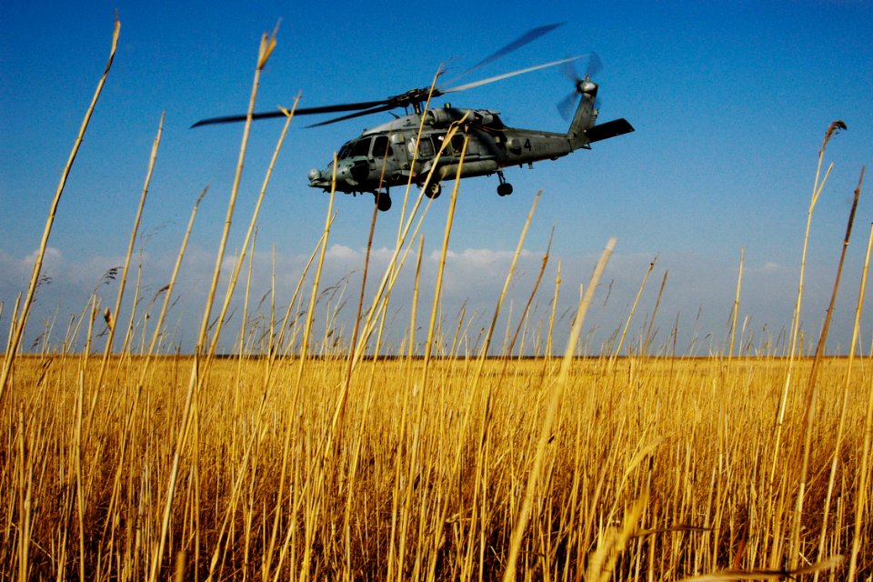 US Navy 060328-N-6074Y-177 An SH-60F Helicopter assigned to Helicopter Anti-Submarine Squadron Two (HS-2) Golden Falcons, makes an approach to an unprepared landing zone in the Republic of Korea