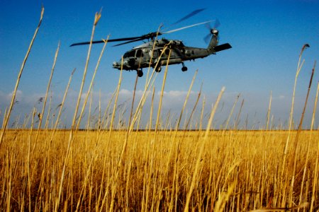 US Navy 060328-N-6074Y-177 An SH-60F Helicopter assigned to Helicopter Anti-Submarine Squadron Two (HS-2) Golden Falcons, makes an approach to an unprepared landing zone in the Republic of Korea