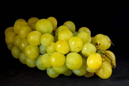 Cluster nature vineyard
