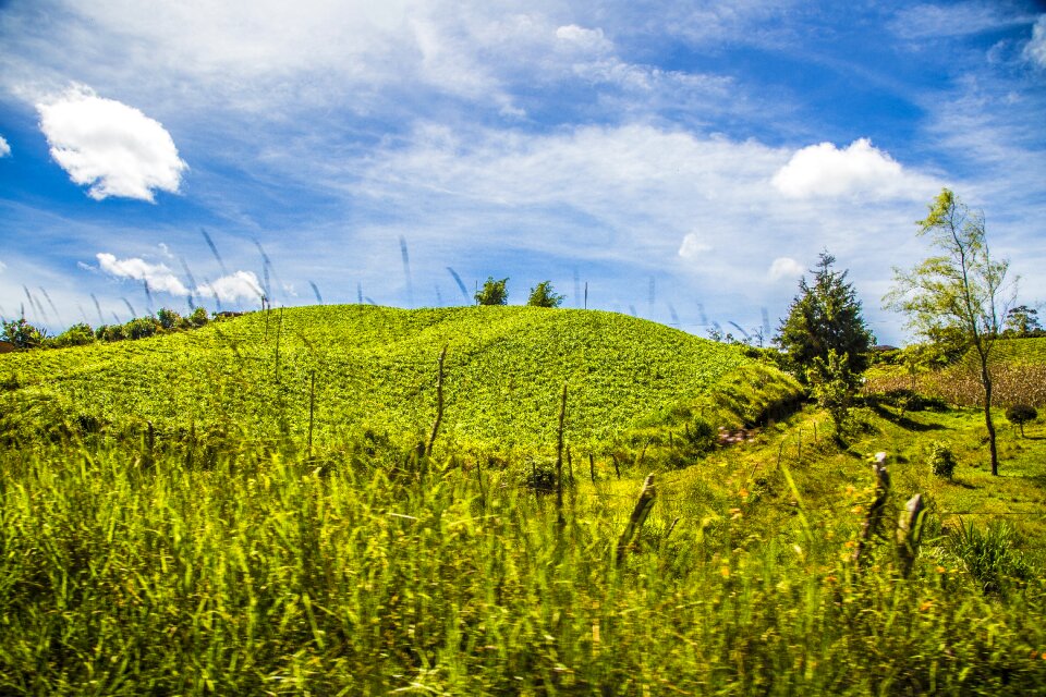 Landscape mountain green photo