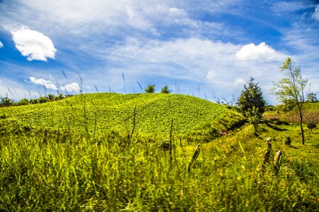 Landscape mountain green