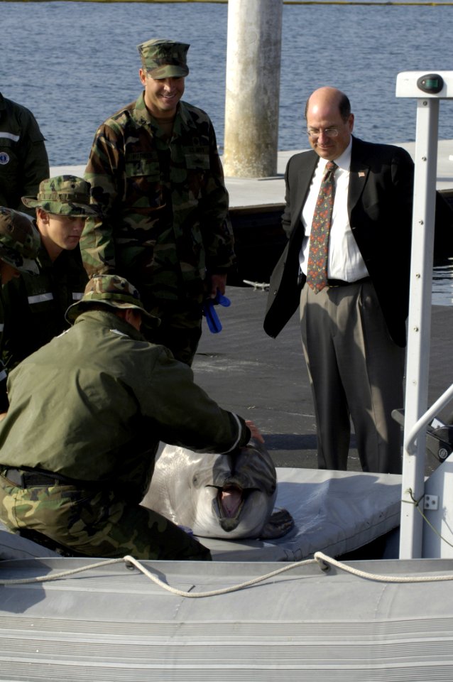 US Navy 060509-N-2568S-215 SECNAV watches as Sailors assigned to EOD-1 demonstrate the work they do with Marine Mammals