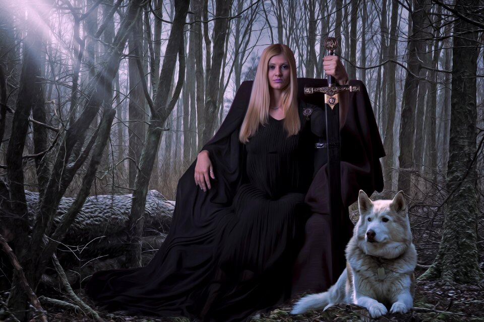 Medieval queen warrior