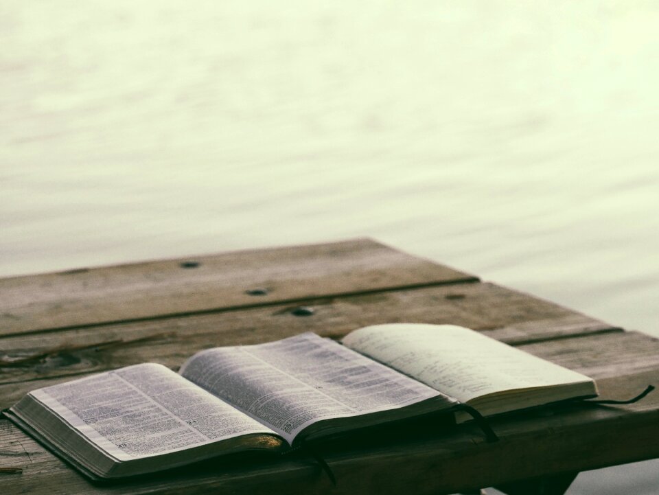 Green book green books green reading