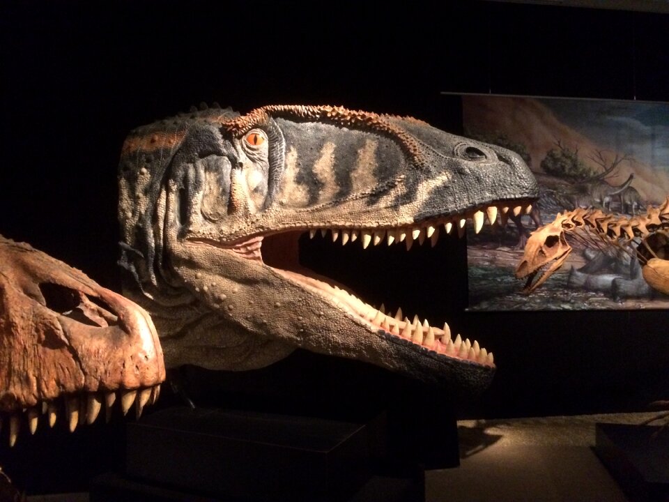Berlin dinosaur tristan