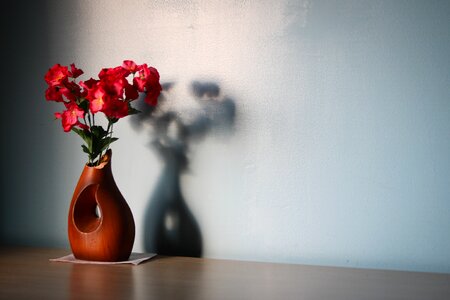 Vase shadow table photo