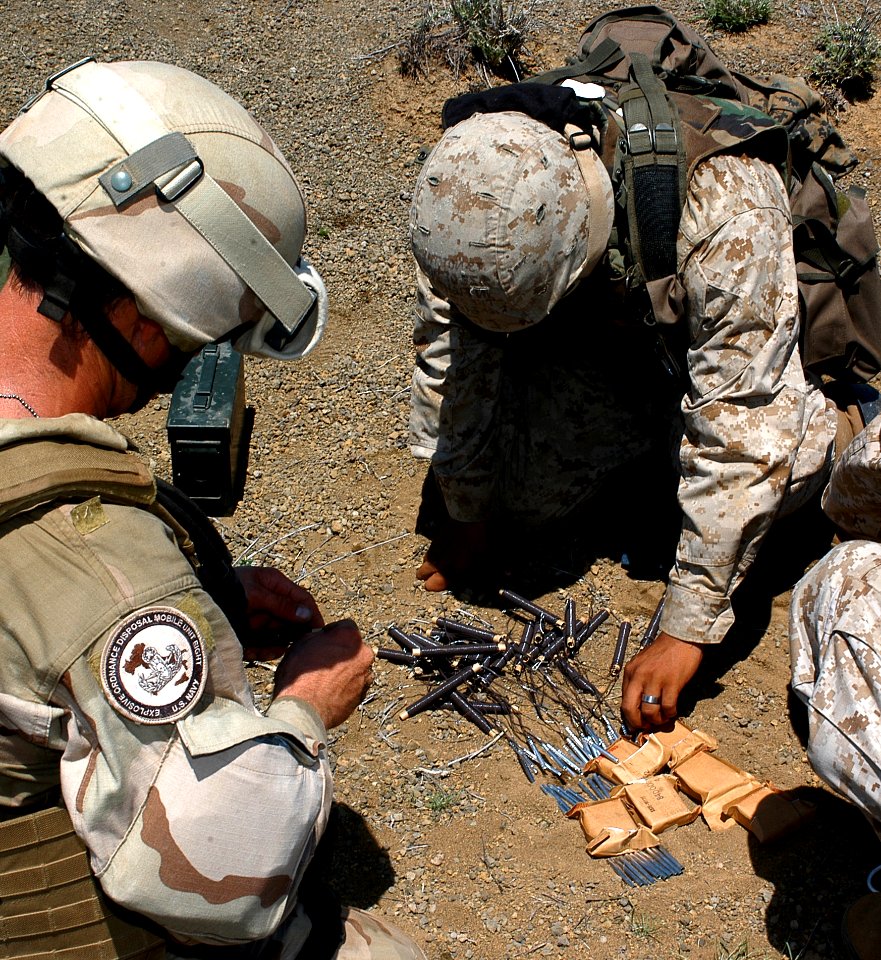 US Navy 060810-N-0411D-023 U.S. Navy Explosives Ordnance Disposal Specialists set excess blasting caps in a place under a sixteen-pound block of C4 explosives during exercise Natural Fire