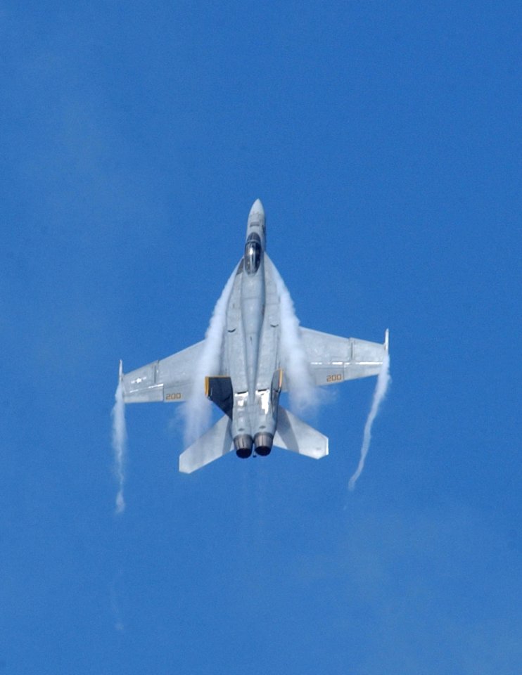 US Navy 060701-N-4776G-162 An F-A-18E Super Hornet assigned to Strike Fighter Squadron One One Five (VFA-115) performs an air power demonstration over the Nimitz-class aircraft carrier USS Ronald Reagan (CVN 76)