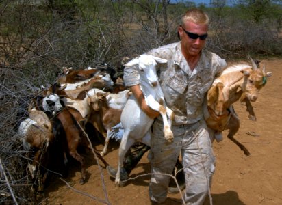US Navy 060815-N-0411D-044 U.S. Marine Lance Cpl. Darrell Brandes of Goliad, Texas, carries two goats out of the corral to the nearby place where immunizations were taking place photo