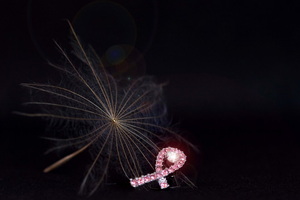 Breast cancer ribbon pink ribbon black cancer