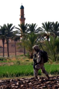 US Navy 060811-M-9019H-080 Lance Cpl. Wyatt C. Zimminger from Gainesville, Fla., assigned to of India Company 3rd Battalion 3rd Marines (3-3) patrols enemy positions after taking fire in a palm grove
