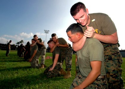 US Navy 061106-N-0879R-001 Members of Combat Service Support Group Three (CSSG-3), Marine Corps Base Hawaii, Kaneohe Bay, conduct Marine Corps Martial Arts Program (MCMAP) Tan Belt training on board Naval Station Pearl Harbor