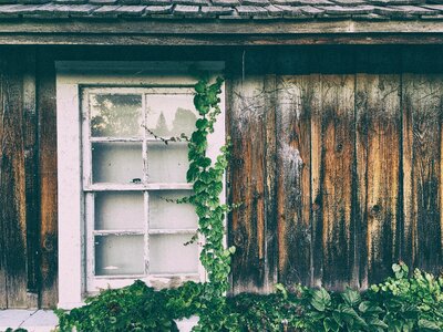 Door glass plants