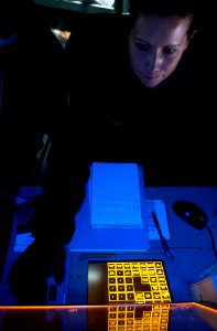US Navy 061116-N-7130B-152 Operations Specialist 2nd Class Ember Price stands watch as the tactical information coordinator (TIC) in the Combat Direction Center (CDC) aboard USS Ronald Reagan (CVN 76)