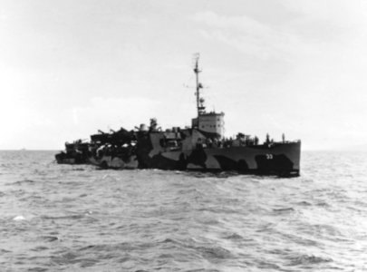 USS George E. Badger (APD-33) in Leyte Gulf on 18 November 1944 (80-G-359766)