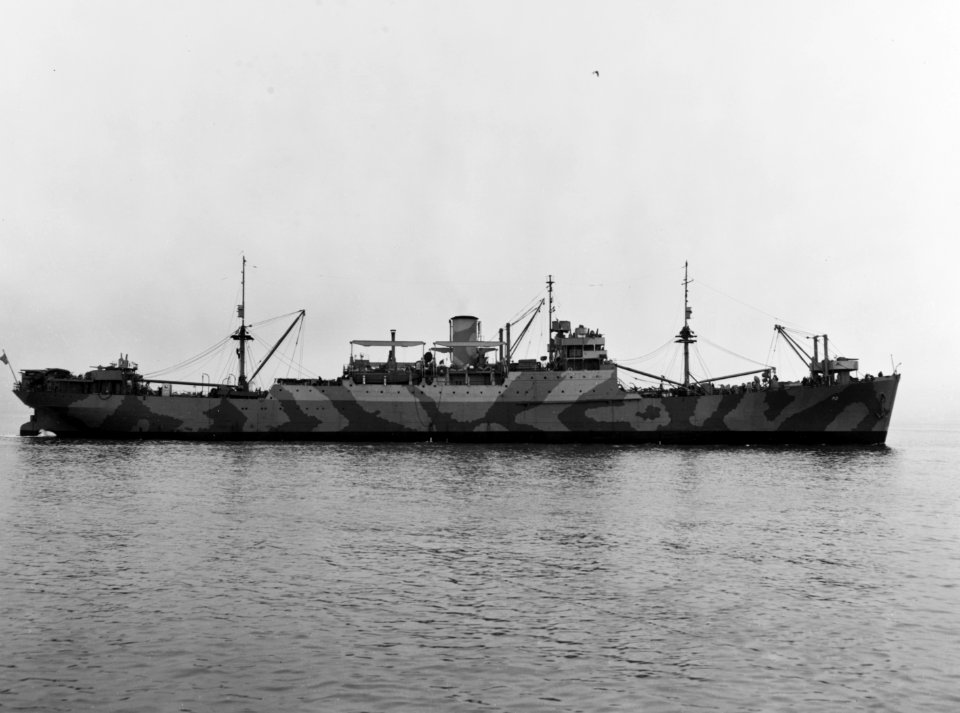 USS George F. Elliott (AP-13) off the Norfolk Navy Yard on 1 January 1942 (19-N-28309)