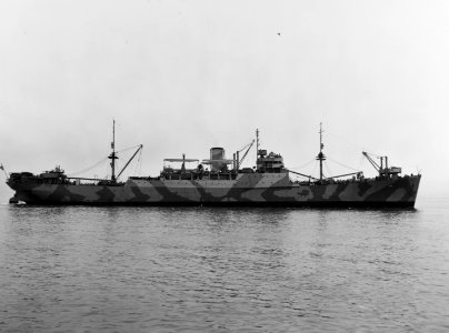 USS George F. Elliott (AP-13) off the Norfolk Navy Yard on 1 January 1942 (19-N-28309)