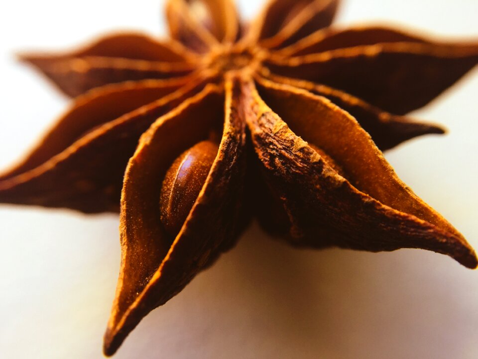 Anise plant brown stars