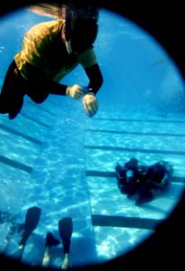 US Navy 061206-G-3721C-240 An instructor with Naval Diving and Salvage Training Center monitors the time during a confidence training exercise as part of a scuba certification course