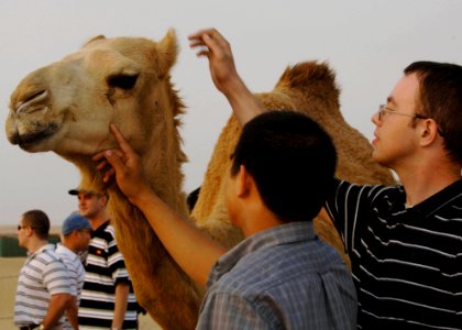 US Navy 061222-N-5330L-084 Sailors from the Nimitz-class aircraft carrier USS Dwight D. Eisenhower (CVN 69) pet a camel during Morale Welfare and Recreation sponsored tour near Jabal Ali