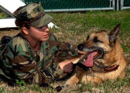 US Navy 061219-N-1522S-039 Master-at-Arms 3rd Class Leslie Orand gives positive reinforcement to Amber, an explosive detector dog, after completing her obstacle training course
