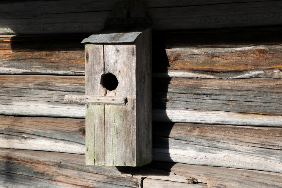 A log wall the old birdhouse log