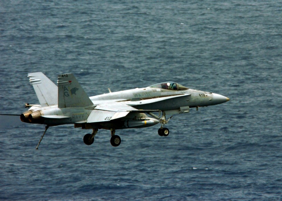 US Navy 070108-N-0490C-010 An F-A-18C Hornet from the Wildcats of Strike Fighter Squadron One Three One (VFA-131) prepares to make an arrested landing aboard the Nimitz-class aircraft carrier USS Dwight D. Eisenho