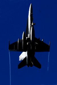 US Navy 070128-N-0684R-133 An F-A-18C Hornet assigned to the
