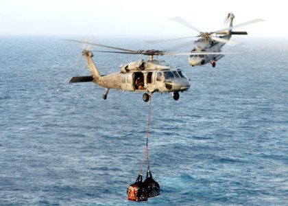 US Navy 070125-N-8446A-003 An MH-60S Seahawk assigned to the Dragon Whales of Helicopter Sea Combat Squadron Two Eight (HSC-28) transfer cargo to the Nimitz-class aircraft carrier USS Dwight D. Eisenhower (CVN 69)
