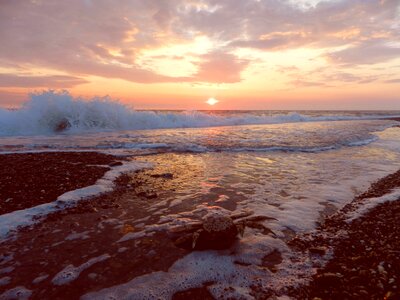 Forward surf sunset