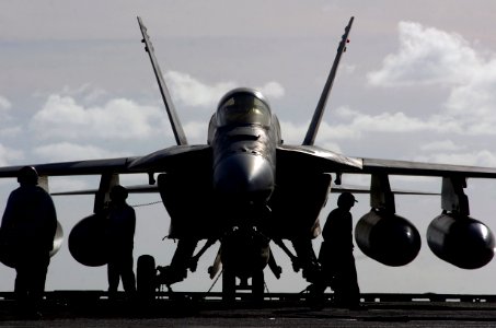 US Navy 070206-N-0555B-092 An F-A-18E Super Hornet assigned to the Eagles of Strike Fighter Squadron One One Five (VFA-115) on the flight deck aboard USS Ronald Reagan (CVN 76), awaiting the next launch cycle