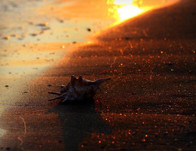 Sun red water