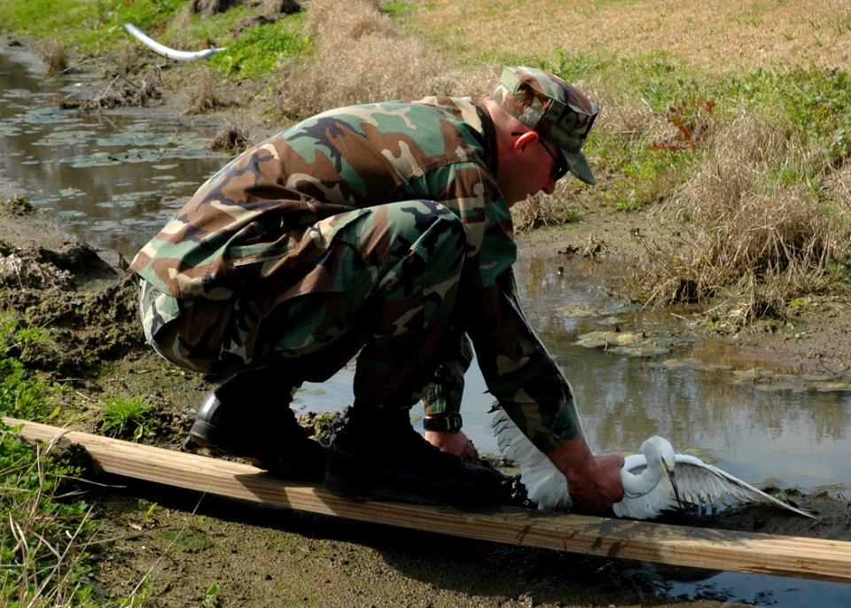 US Navy 070212-N-7427G-001 Master-at-Arms 3rd Class Luke Ross rescues a distressed white stork