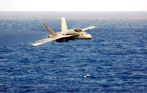US Navy 070301-N-1635S-003 Piloting an F-A-18C Hornet assigned to the Stingers of Strike Fighter Squadron (VFA) 113, Capt. Craig Williams performs a supersonic flyby of USS Ronald Reagan (CVN 76) during his aerial change of com